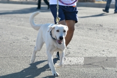 carreraxochicalco260519036