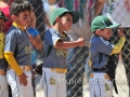 MEXICALI, BC. MARZO 13. Acciones del Estatal de Beisbol Infantil.(Foto: Felipe Zavala/Expreso Deportivo)