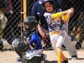 MEXICALI, BC. MARZO 13. Acciones del Estatal de Beisbol Infantil.(Foto: Felipe Zavala/Expreso Deportivo)