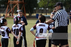 finalmexicaliflagsprimariasfem200119001