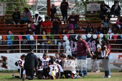 finalmexicaliflagsprimariasfem200119005