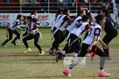 finalmexicaliflagsprimariasfem200119006