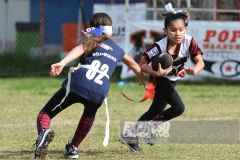 finalmexicaliflagsprimariasfem200119009