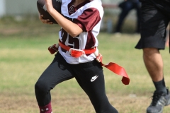 finalmexicaliflagsprimariasfem200119010