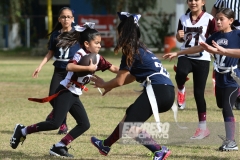 finalmexicaliflagsprimariasfem200119012