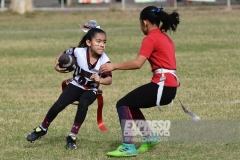 finalmexicaliflagsprimariasfem200119018