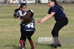 finalmexicaliflagsprimariasfem200119019