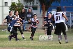 finalmexicaliflagsprimariasfem200119020