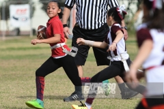 finalmexicaliflagsprimariasfem200119027