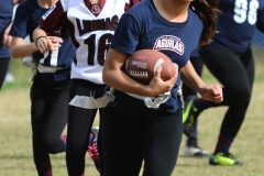 finalmexicaliflagsprimariasfem200119028