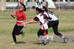 finalmexicaliflagsprimariasfem200119032