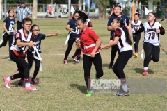 finalmexicaliflagsprimariasfem200119034