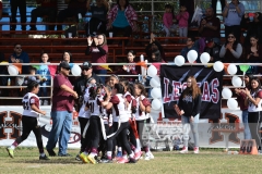 finalmexicaliflagsprimariasfem200119035