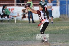 finalescopahalcones240519019