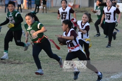 finalescopahalcones240519020