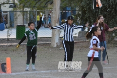 finalescopahalcones240519035