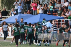 finalescopahalcones240519039