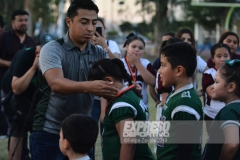 finalescopahalcones240519046