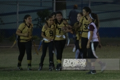 finalescopahalcones240519051